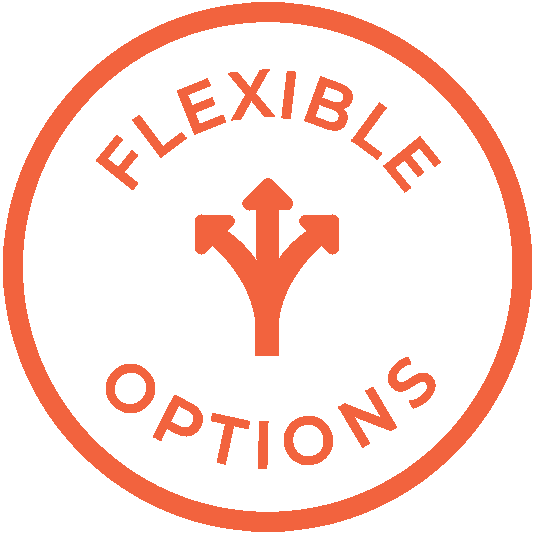 Flexible Options Icon