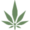 Green cannabis leaf. Icon represents direct insurance for cannabis retailers and dispensaries.